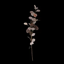 Eucalyptus Grene Kaffe farve 78cm