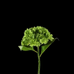 Hortensia Blomst (H55cm) Grøn