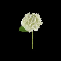 Hortensia Blomst (H32cm) Hvid