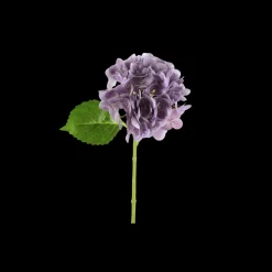 Hortensia Blomst (H32cm) Lilla