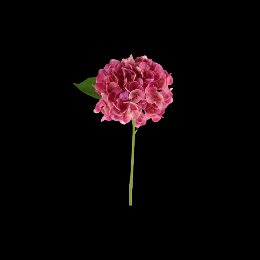 Hortensia Blomst (H32cm) Lyserød