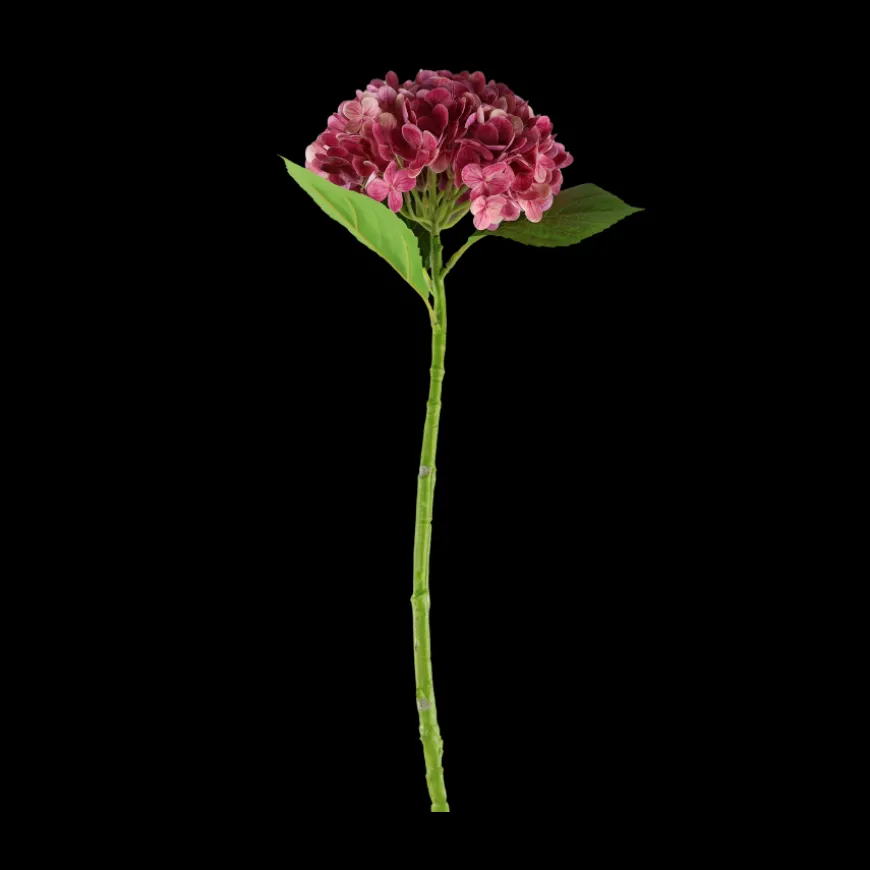 Hortensia Blomst (H55cm) Lyserød