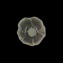 Lille Skål CAHID i Blomst design (10x10x3cm) Creme/Grå