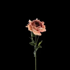 Pæon Blomst (H64cm) Lyserød