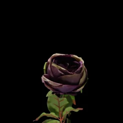 Rose i Lavendel Farve. 68cm