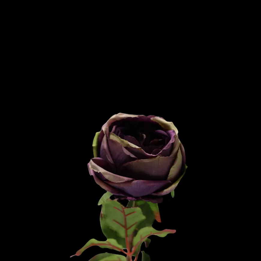 Rose i Lavendel Farve. 68cm