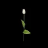 Tulipaner ( 48cm) Hvid